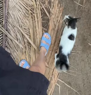 Marta Wierzbicka feet photo 4