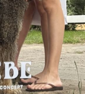 Marta Wierzbicka feet photo 5