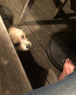 Martha Plimpton feet photo 13
