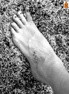 Martie Maguire feet photo 6