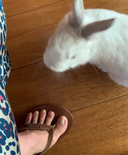 Martina Colombari feet photo thumbnail