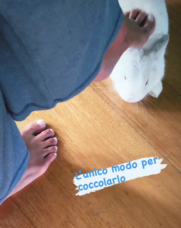 Martina Colombari feet photo thumbnail