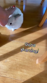 Martina Colombari feet photo thumbnail