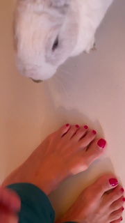 Martina Colombari feet photo thumbnail