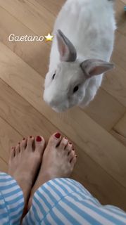 Martina Colombari feet photo 13