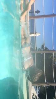 Martina Pinto feet photo 13