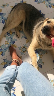 Martina Pinto feet photo 11