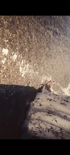 Martina Pinto feet photo 5