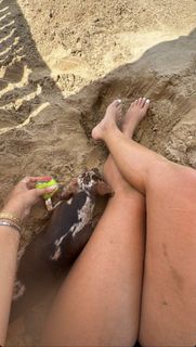 Martina Zanfi feet photo 4