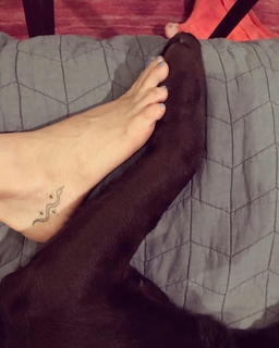 Mary Elizabeth Ellis feet photo thumbnail