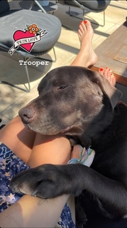 Mary Elizabeth Ellis feet photo thumbnail