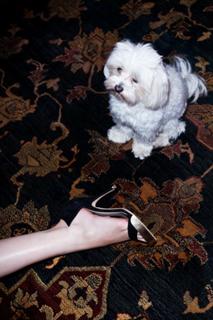 Mary Elizabeth Winstead feet photo thumbnail