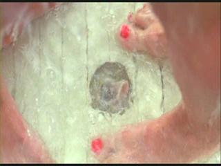 Mary Kay Place feet photo 9