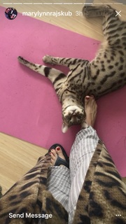 Mary Lynn Rajskub feet photo thumbnail