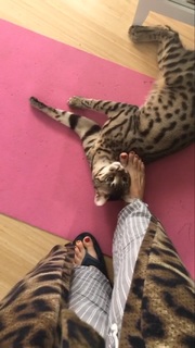 Mary Lynn Rajskub feet photo thumbnail