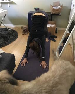 Mary Lynn Rajskub feet photo thumbnail