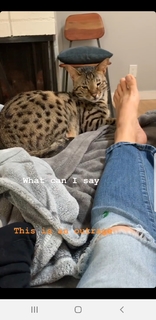 Mary Lynn Rajskub feet photo thumbnail