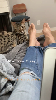 Mary Lynn Rajskub feet photo thumbnail