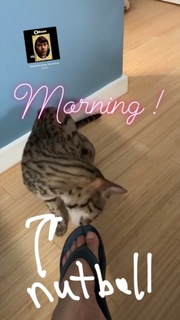 Mary Lynn Rajskub feet photo thumbnail