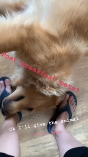Mary Lynn Rajskub feet photo thumbnail