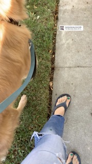 Mary Lynn Rajskub feet photo thumbnail