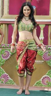 Maryam Zakaria feet photo 14