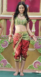 Maryam Zakaria feet photo 15