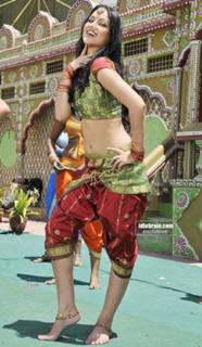 Maryam Zakaria feet photo 14