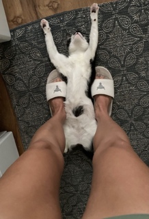Maryna Moroz feet photo 16