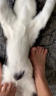 Maryna Moroz feet photo 14