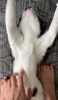 Maryna Moroz feet photo 13