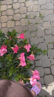 Maryna Moroz feet photo 15