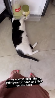 Maryna Moroz feet photo 12
