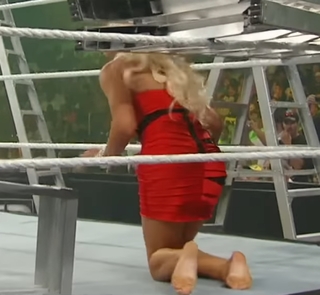 Maryse Mizanin feet photo thumbnail