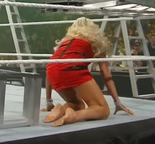 Maryse Mizanin feet photo thumbnail