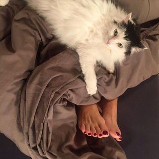Marzena Rogalska feet photo 13