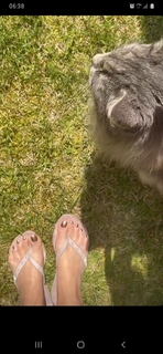 Marzena Rogalska feet photo 16