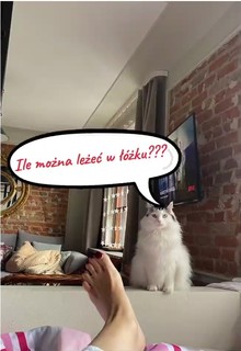 Marzena Rogalska feet photo 3