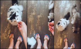 Marzena Rogalska feet photo 20