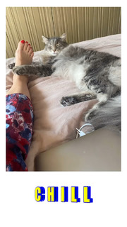 Marzena Rogalska feet photo 13