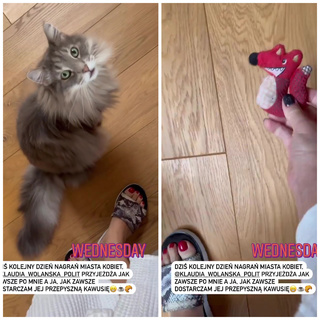 Marzena Rogalska feet photo 4