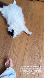 Marzena Rogalska feet photo 2