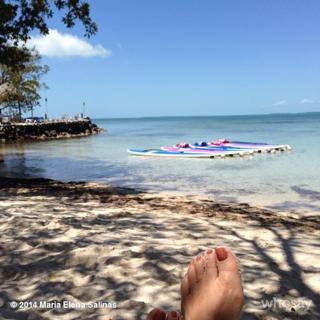 María Elena Salinas feet photo 11