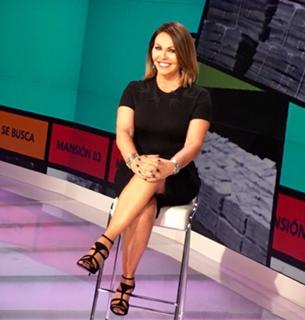 María Elena Salinas feet photo 8