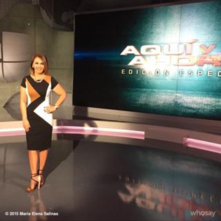 María Elena Salinas feet photo 4