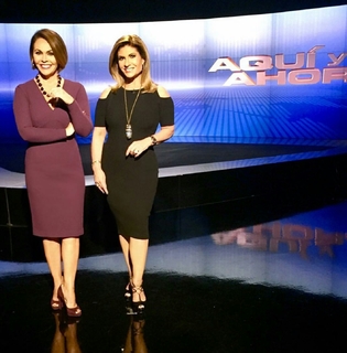 María Elena Salinas feet photo 11