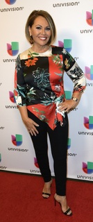 María Elena Salinas feet photo 8