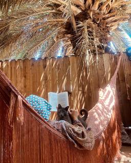 María Gabriela de Faría feet photo thumbnail