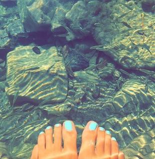 María José Castro feet photo 7