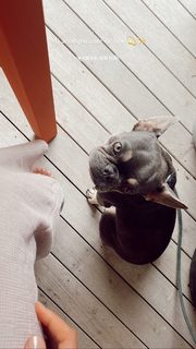 María José Castro feet photo 19